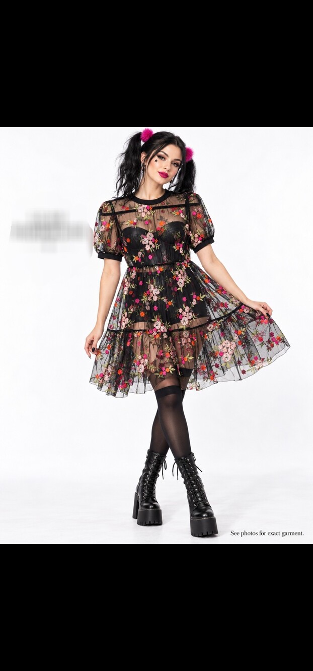 Black Floral Embroidered Sheer Mesh Dress Fairycore Whimsigoth Glam